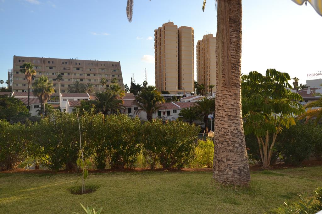 Paradero I Playa de las Américas Extérieur photo